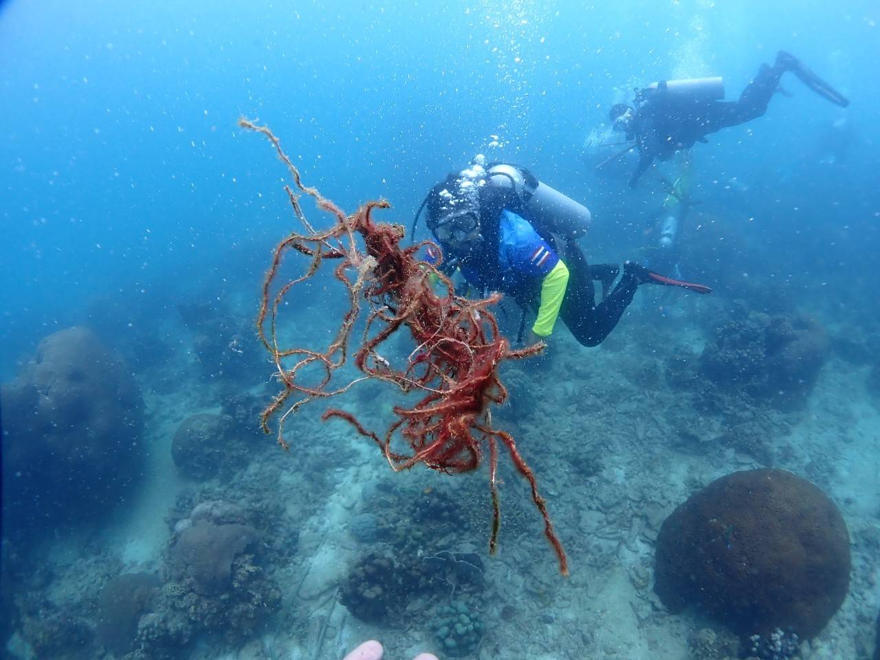 เก็บขยะใต้ทะเลฟื้นฟูระบบนิเวศทางทะเลในแนวปะการังเกาะเต่า