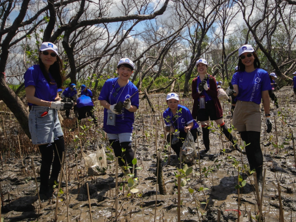 Building a Sustainable Future Mangrove Conservation