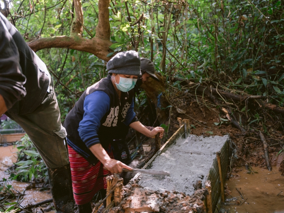 ALSTOM  'Building Check Dams' is one of the options that would create soil moisture for the forest to grow.