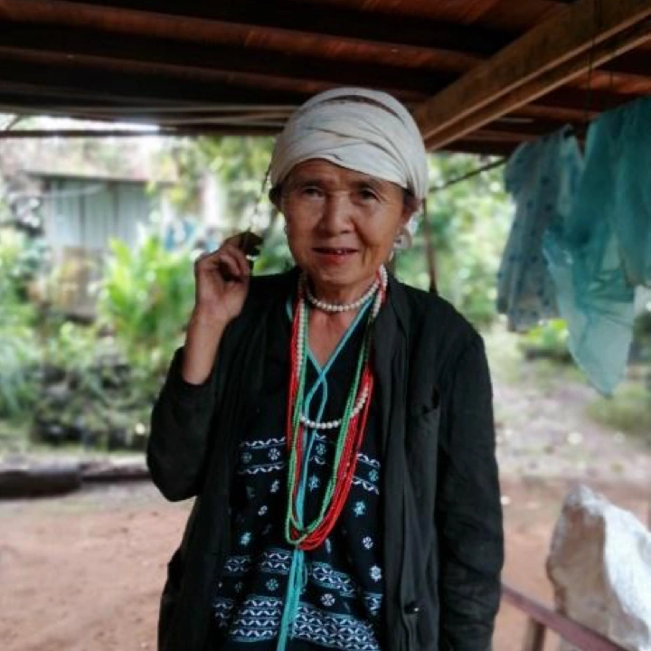 ลวดลายและสีสันได้รับแรงบันดาลใจจากวิถีชีวิตและธรรมชาติรอบตัว